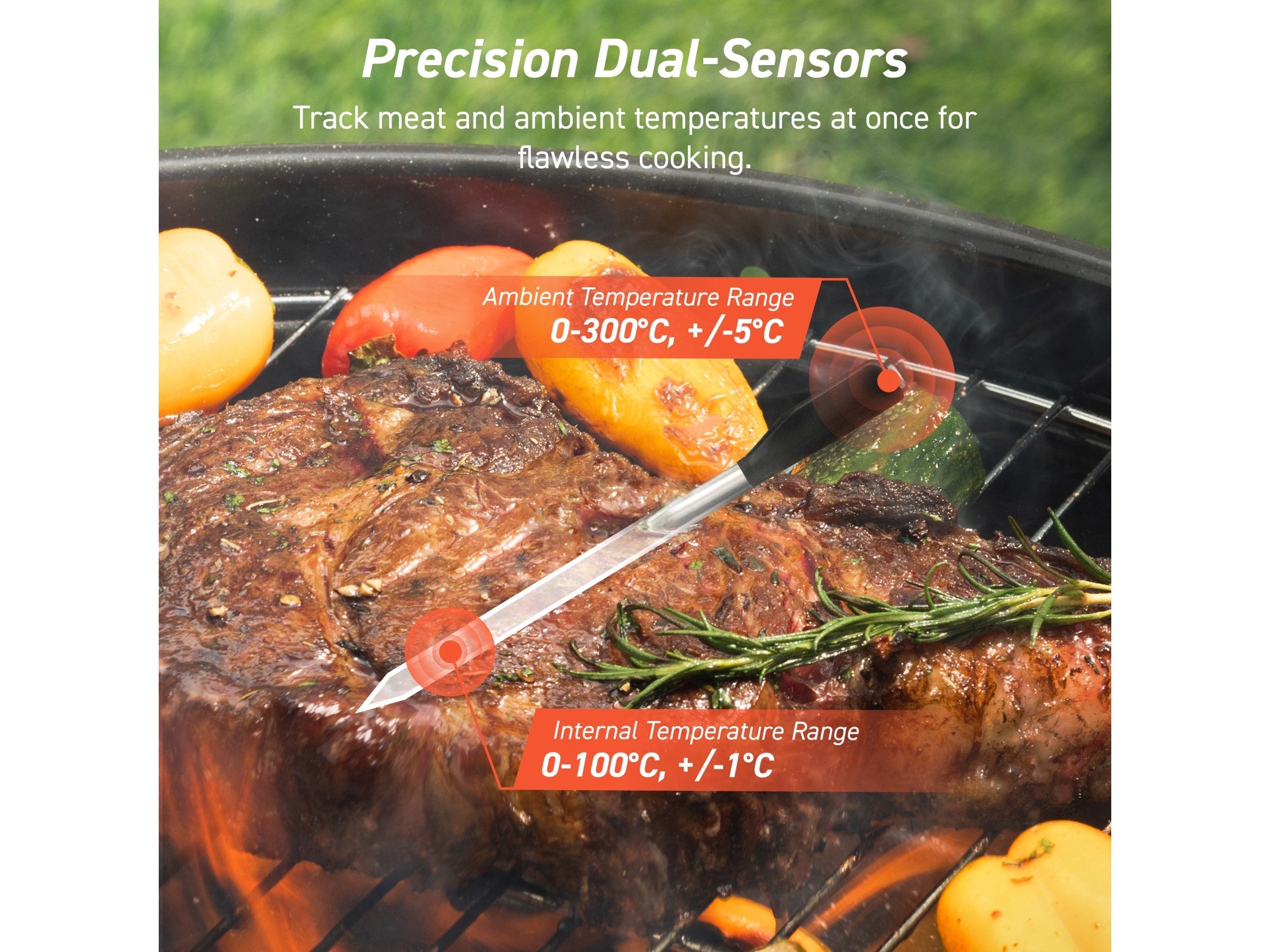 Cosori Smart Meat Lämpömittari